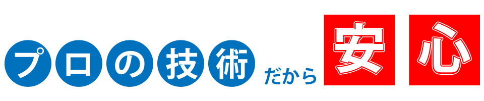 �v���̋Z�p��������S�I